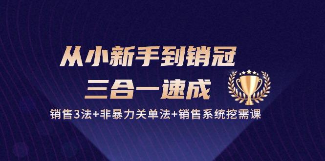 从小新手到销冠 三合一速成：销售3法+非暴力关单法+销售系统挖需课 (27节-test
