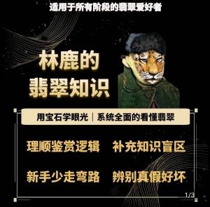 林鹿的翡翠知识，​用宝石眼光，系统全面的看懂翡翠-test