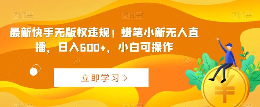 最新快手无版权违规！蜡笔小新无人直播，日入600+，小白可操作【揭秘】-test