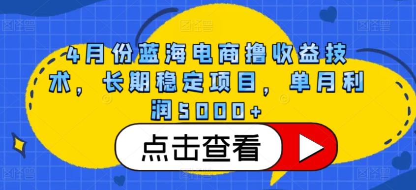 4月份蓝海电商撸收益技术，长期稳定项目，单月利润5000+【揭秘】-test