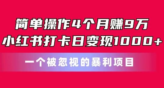 简单操作4个月赚9w，小红书打卡日变现1k，一个被忽视的暴力项目【揭秘】-test