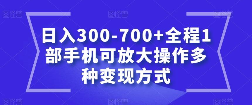 日入300-700+全程1部手机可放大操作多种变现方式【揭秘】-test