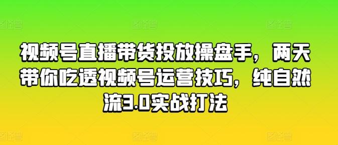视频号直播带货投放操盘手，两天带你吃透视频号运营技巧，纯自然流3.0实战打法-test