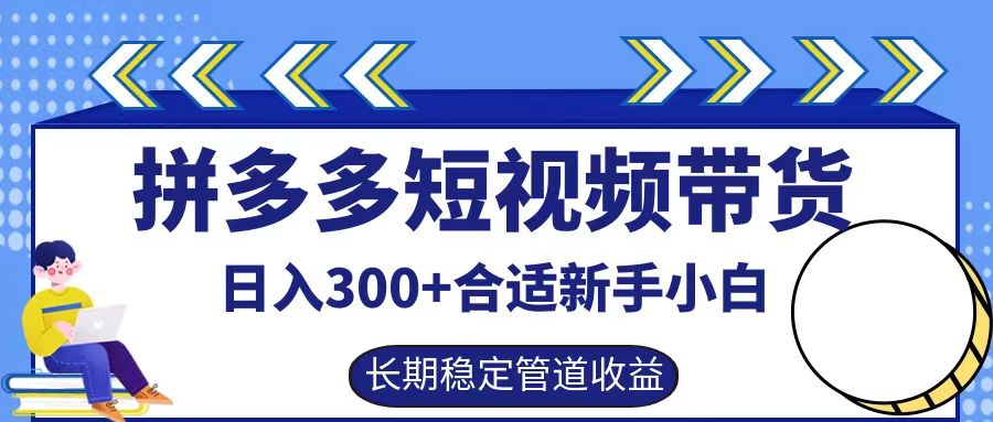 拼多多短视频带货日入300+，实操账户展示看就能学会-test