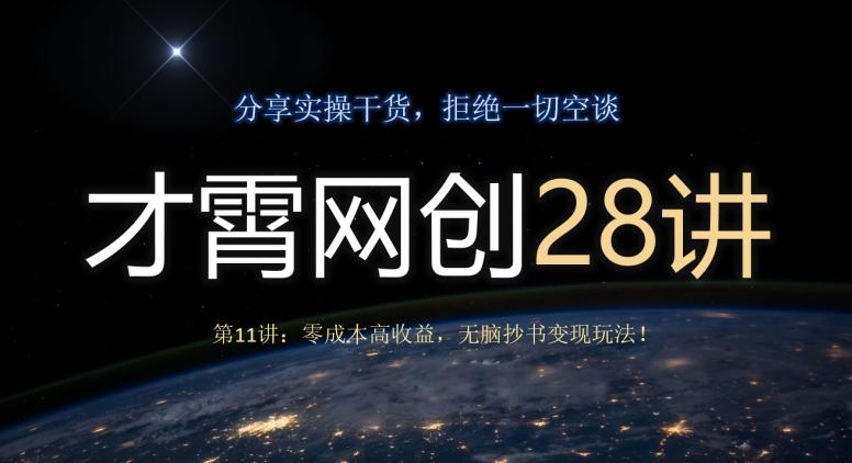 才霄网创28讲第11讲：零成本高收益，无脑抄书变现玩法！-test