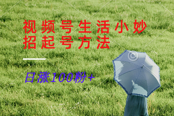 视频号生活小妙招分享赛道， 起号涨粉新方法，日涨100粉-test