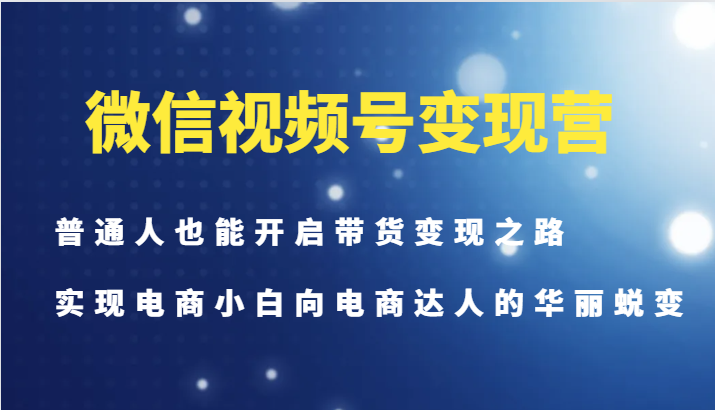 微信视频号变现营-普通人也能开启带货变现之路，实现电商小白向电商达人的华丽蜕变-test