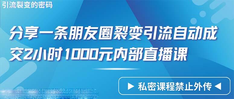 (9850期)仅靠分享一条朋友圈裂变引流自动成交2小时1000内部直播课程-test
