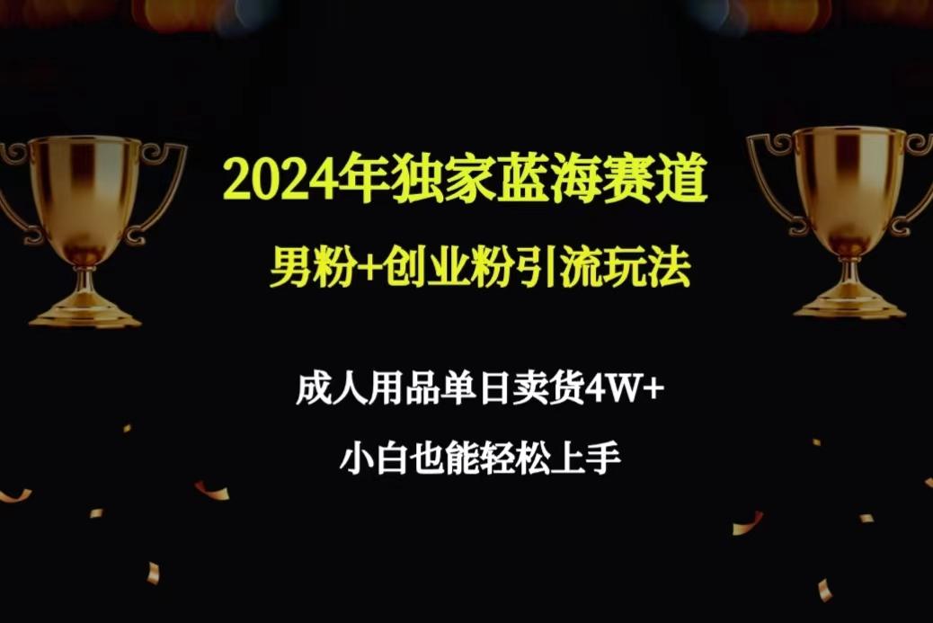 2024年独家蓝海赛道男粉+创业粉引流玩法，成人用品单日卖货4W+保姆教程-test