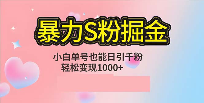 单人单机日引千粉，变现1000+，S粉流量掘金计划攻略-test