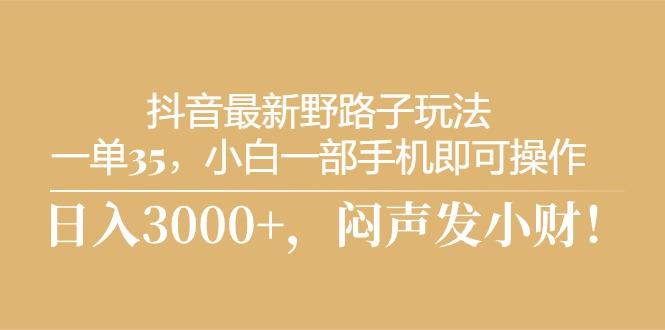 抖音最新野路子玩法，一单35，小白一部手机即可操作，，日入3000+，闷…-test