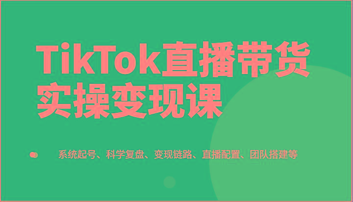 TikTok直播带货实操变现课：系统起号、科学复盘、变现链路、直播配置、团队搭建等-test