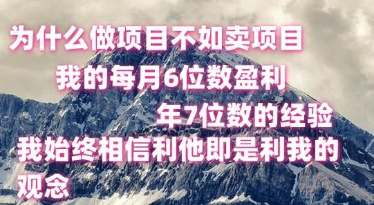 做项目不如卖项目，每月6位数盈利，年7位数经验-test