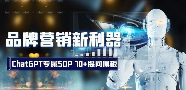 品牌营销新利器：ChatGPT专属SOP，70+提问模板【文档】-test