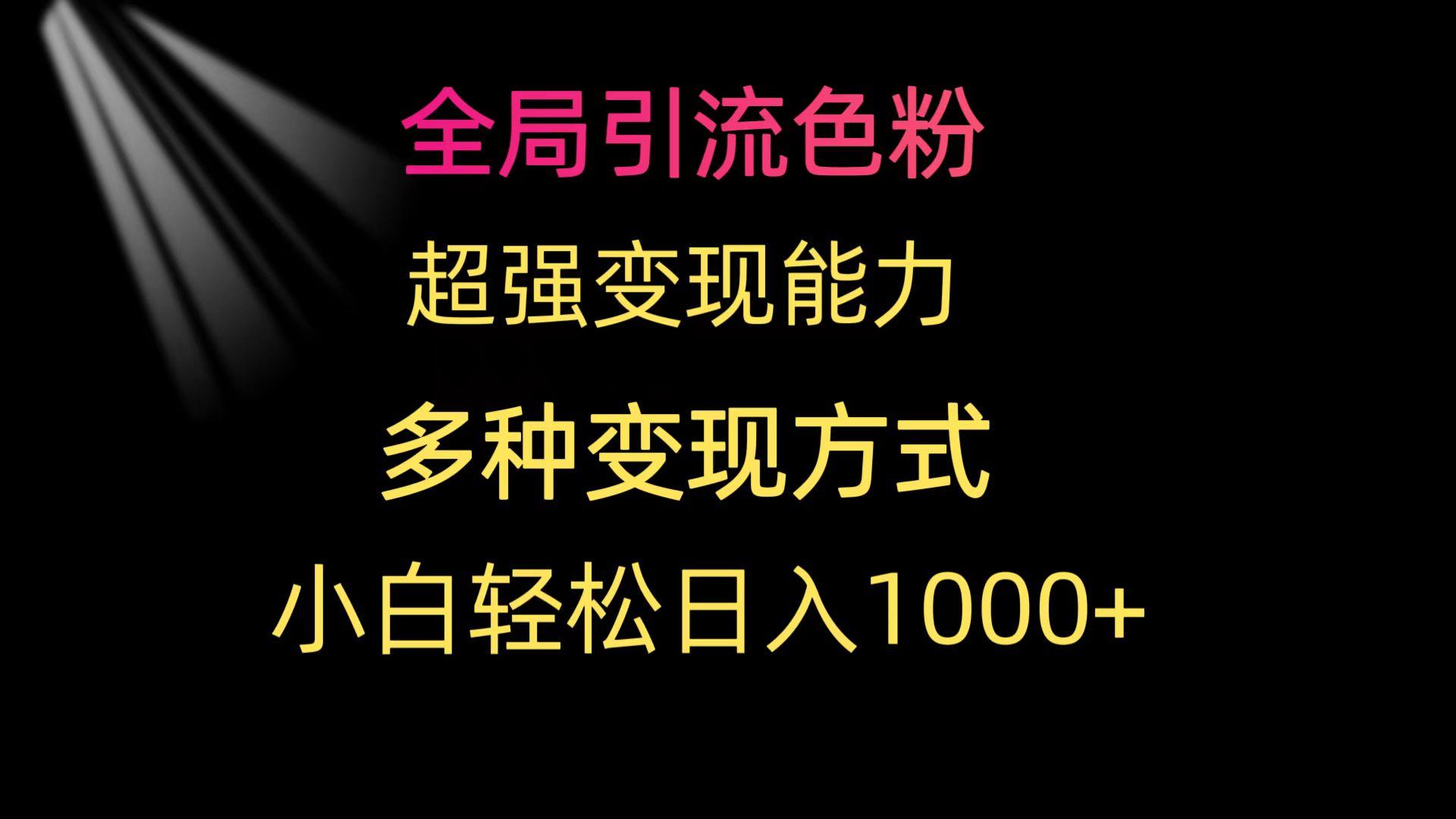 (9680期)全局引流色粉 超强变现能力 多种变现方式 小白轻松日入1000+-test