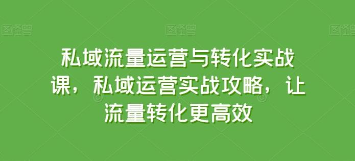 私域流量运营与转化实战课，私域运营实战攻略，让流量转化更高效-test