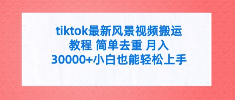 tiktok最新风景视频搬运教程 简单去重 月入3W+小白也能轻松上手【揭秘】-test