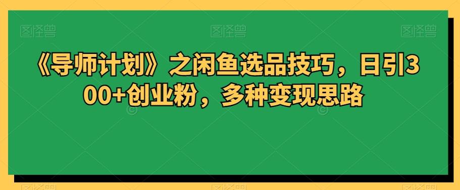 《导师计划》之闲鱼选品技巧，日引300+创业粉，多种变现思路-test