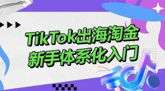 TikTok出海淘金，新手体系化入门，零基础快速入门，掌握短视频、直播带货等引流到变现的知识-test