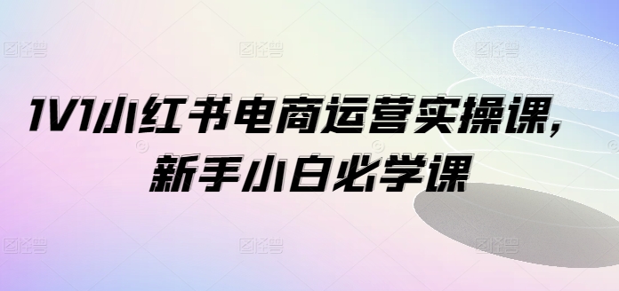 1V1小红书电商运营实操课，新手小白必学课-test