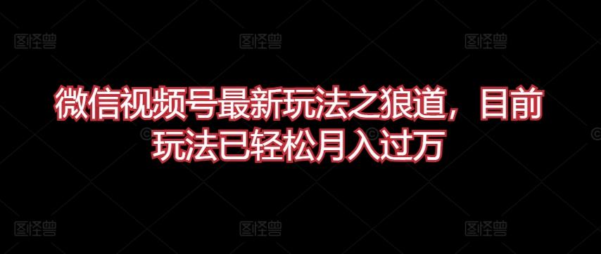 微信视频号最新玩法之狼道，目前玩法已轻松月入过万【揭秘】-test