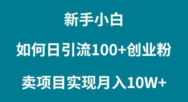 (9556期)新手小白如何通过卖项目实现月入10W+-test