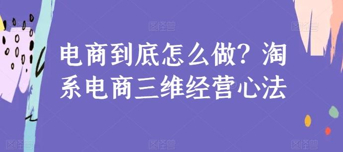 电商到底怎么做？淘系电商三维经营心法-test