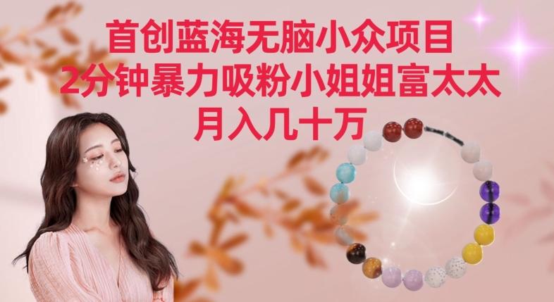 首创蓝海无脑小众项目，2分钟暴力吸粉小姐姐富太太，月入几十万【揭秘】-test