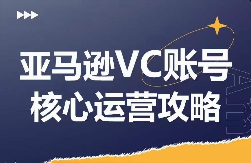 亚马逊VC账号核心玩法解析，实战经验拆解产品模块运营技巧，提升店铺GMV，有效提升运营利润-test