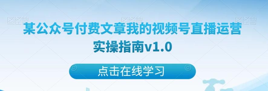 某公众号付费文章我的视频号直播运营实操指南v1.0-test