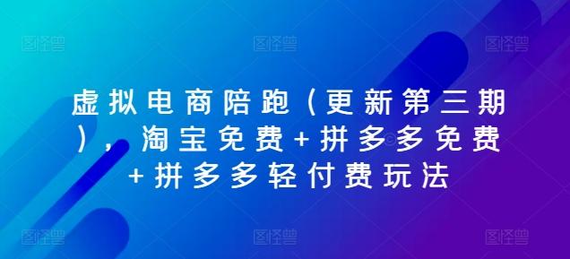虚拟电商陪跑(更新第三期)，淘宝免费+拼多多免费+拼多多轻付费玩法-test