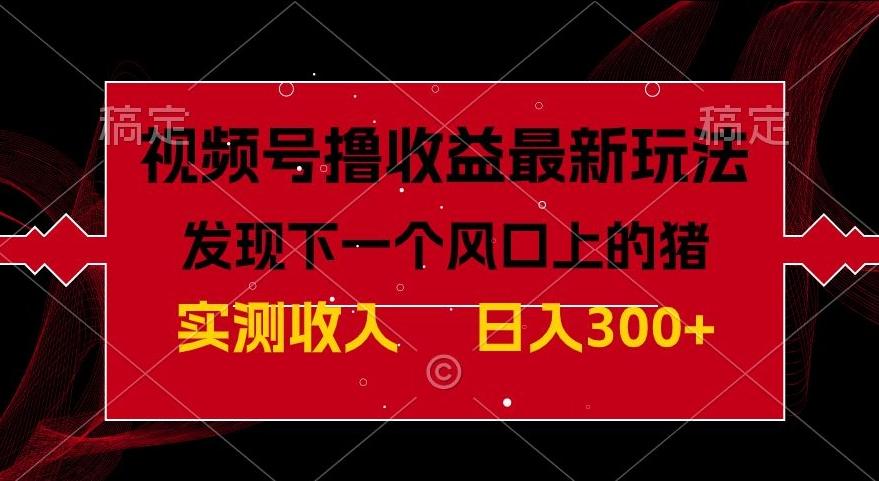 视频号分成计划最新玩法，单条作品几分钟制作完成,日入300+，过年前最后的冲刺-test