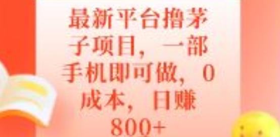 最新平台撸茅子项目，一部手机即可做，0成本，日赚800+-test