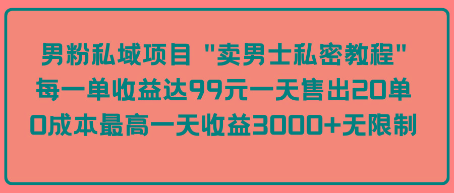 (9730期)男粉私域项目 “卖男士私密教程” 每一单收益达99元一天售出20单-test