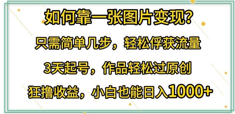 如何靠一张图片变现?只需简单几步，轻松俘获流量，3天起号，作品轻松过原创【揭秘】-test