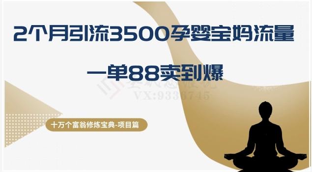 十万个富翁修炼宝典之13.2个月引流3500孕婴宝妈流量，一单88卖到爆-test