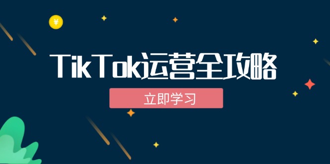TikTok实战运营全攻略：从下载软件到变现，抖音海外版实操教程-test