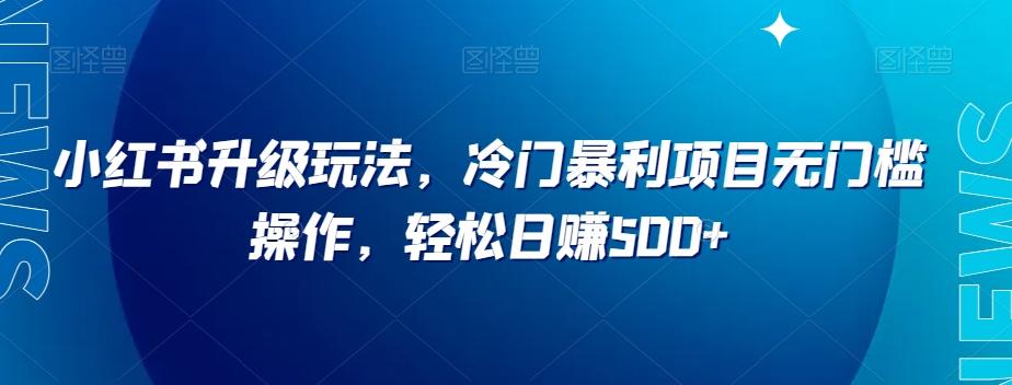 小红书升级玩法，冷门暴利项目无门槛操作，轻松日赚500+【揭秘】-test