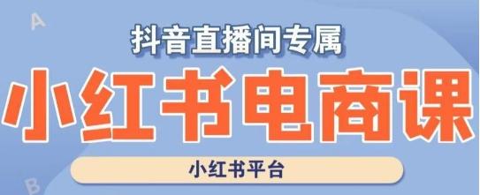 小红书电商高级运营课程，实操教学+案例分析-test