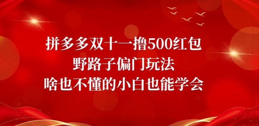 拼多多双十一撸500红包野路子偏门玩法，啥也不懂的小白也能学会【揭秘】-test