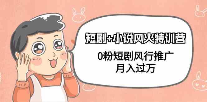 小说+短剧风火特训营，0粉短剧小说风行推广，实现月入过万-test